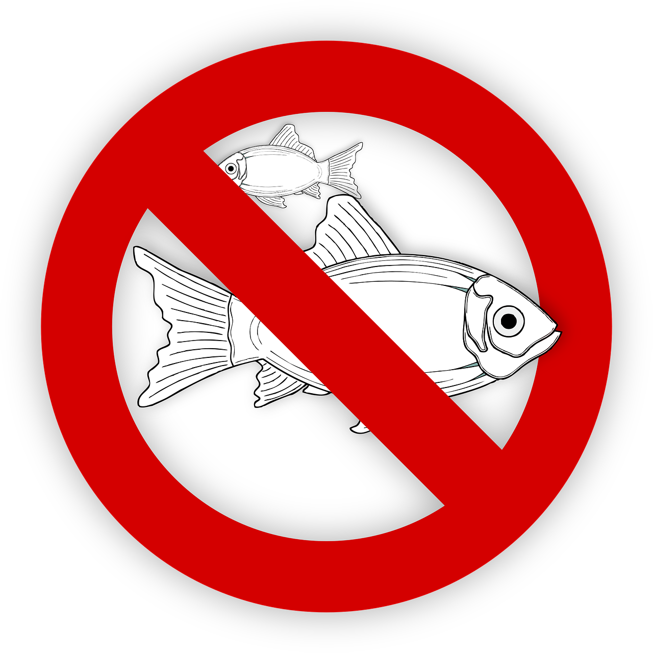 pixabay-995050-76.png